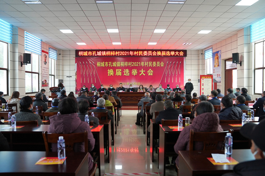 桐城市孔城鎮(zhèn)桐梓村2021年村民委員會(huì)換屆選舉大會(huì)舉行.jpg