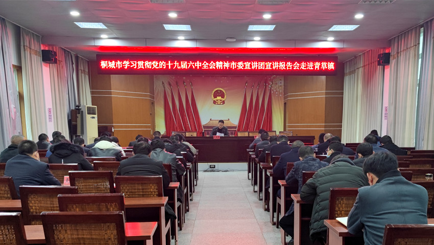 桐城市學習貫徹黨的十九屆六中全會精神市委宣講團宣講報告會走進青草鎮(zhèn).jpg