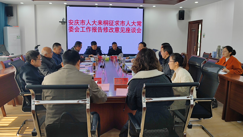 安慶市人大來桐征求《市人大常委會工作報告》修改意見2.jpg