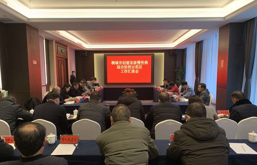 省級慢性病綜合防控示范區(qū)工作匯報會1.jpg