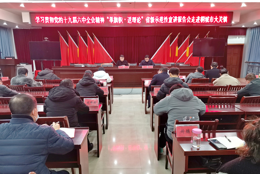 學(xué)習(xí)貫徹黨的十九屆六中全會精神“舉旗幟·送理論”省級示范性宣講走進桐城市大關(guān)鎮(zhèn)1.jpg