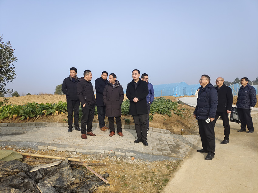 范崗鎮(zhèn)2021年度村級(jí)黨組織書記抓黨建工作述職暨“一諾雙評(píng)”活動(dòng)現(xiàn)場(chǎng)調(diào)研圖片.jpg