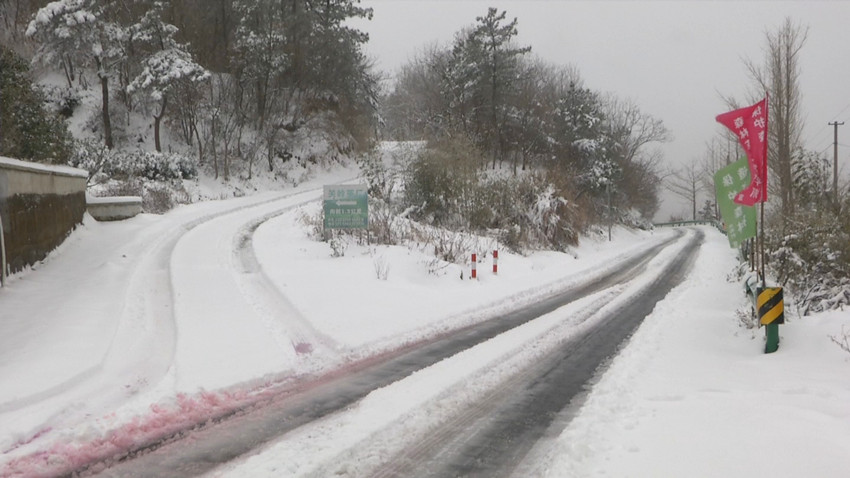 圖為2月8日上午10點多S237線水嶺段的路面積雪情況.jpg