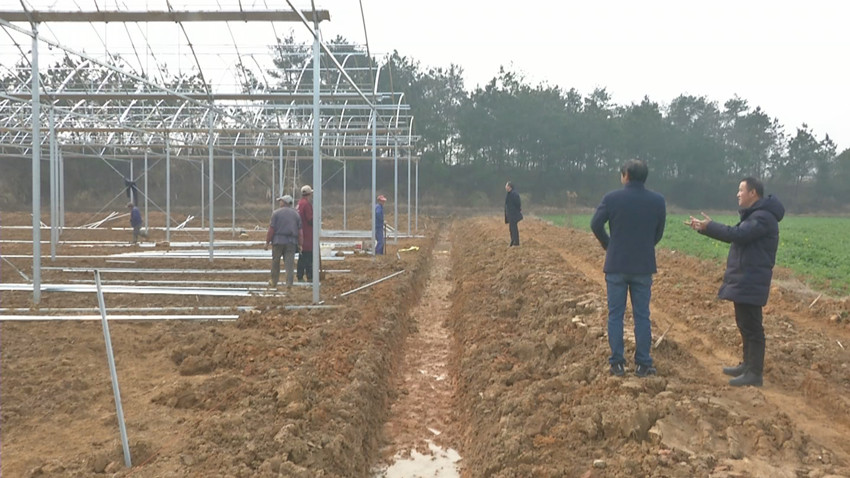 農(nóng)技人員查看育秧工廠建設(shè)情況.jpg