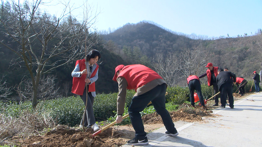 /uploads/image/2022/03/10/48a0421a556264587d331ceae11b9e1f.jpg 圖為植樹現(xiàn)場(chǎng)<div id=