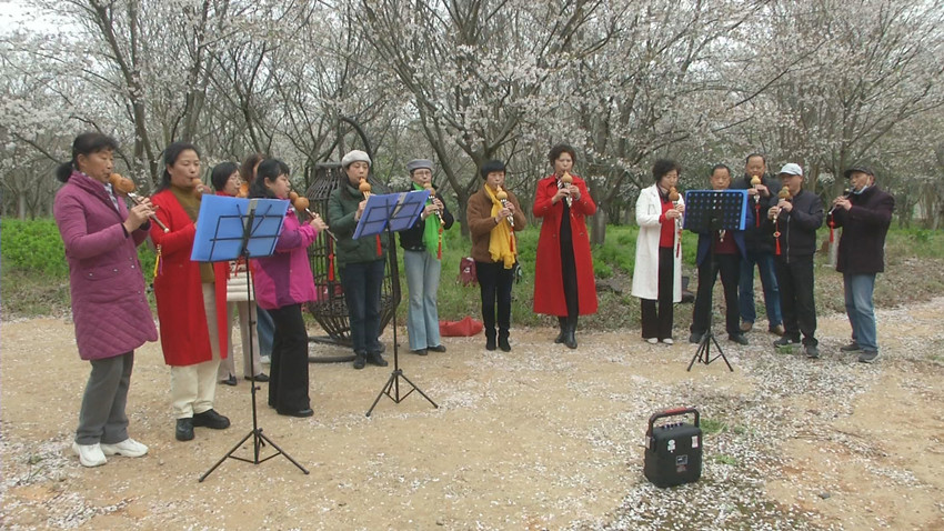 圖為游客在嬉子湖蟠龍村蟠龍灣生態(tài)園3.jpg