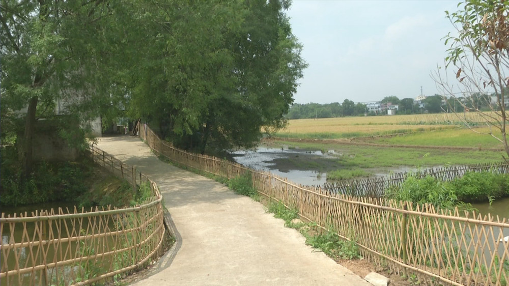 圖為桐梓村汪莊村民組4.jpg