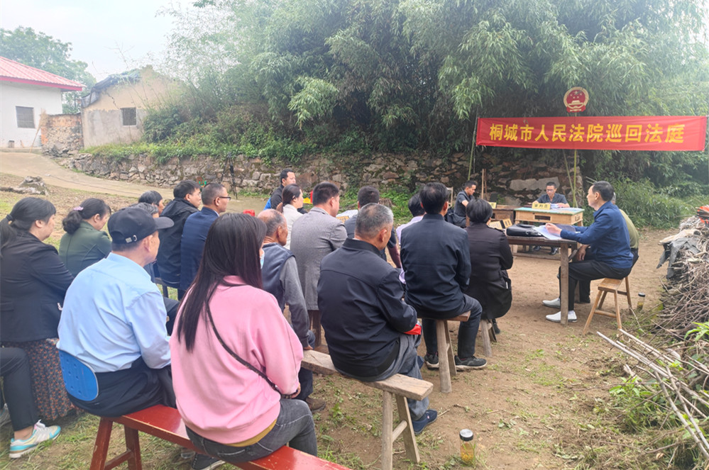桐城市人民法院巡回法庭進鄉(xiāng)村(2).jpg