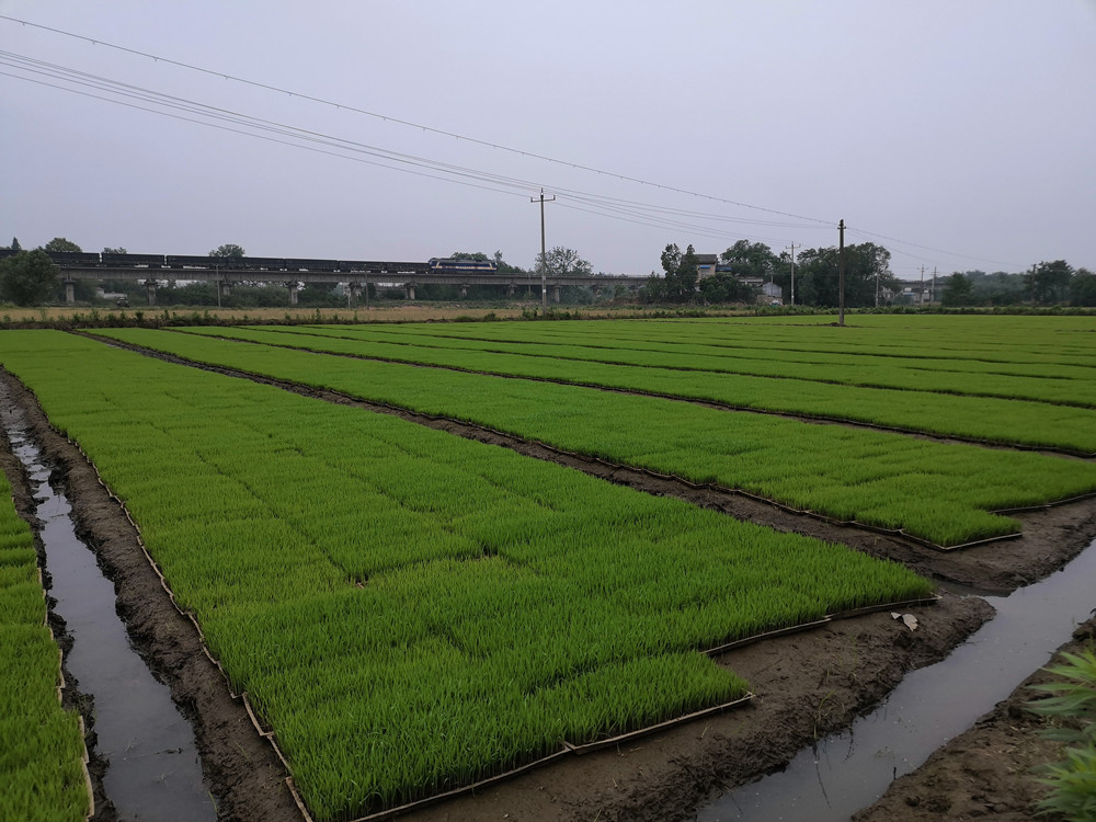 微信圖片_20220525105331.jpg