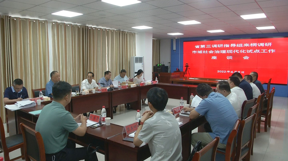 省市域社會(huì)治理現(xiàn)代化試點(diǎn)調(diào)研指導(dǎo)組來桐調(diào)研.jpg