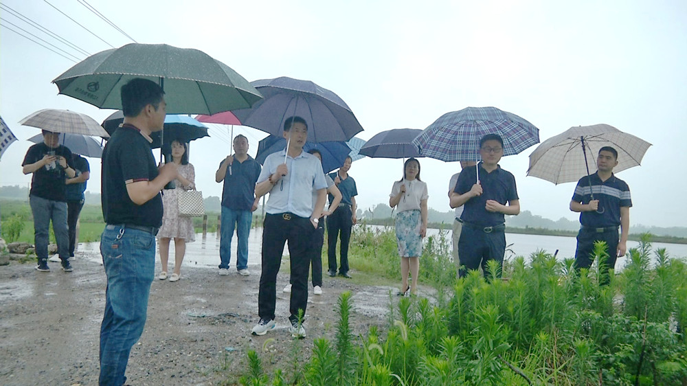 圖為參觀金神鎮(zhèn)包圩村小幸福圩“千畝良田”新增耕地項目.jpg
