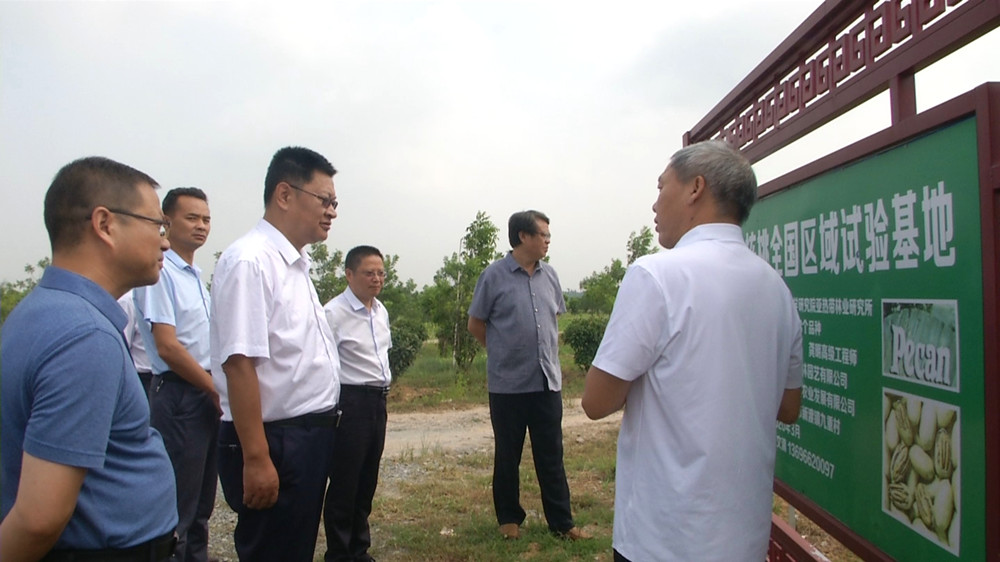圖為執(zhí)法檢查組在富美達(dá)農(nóng)業(yè)發(fā)展有限公司的薄殼山核桃基地調(diào)研時(shí)的情景(1).jpg