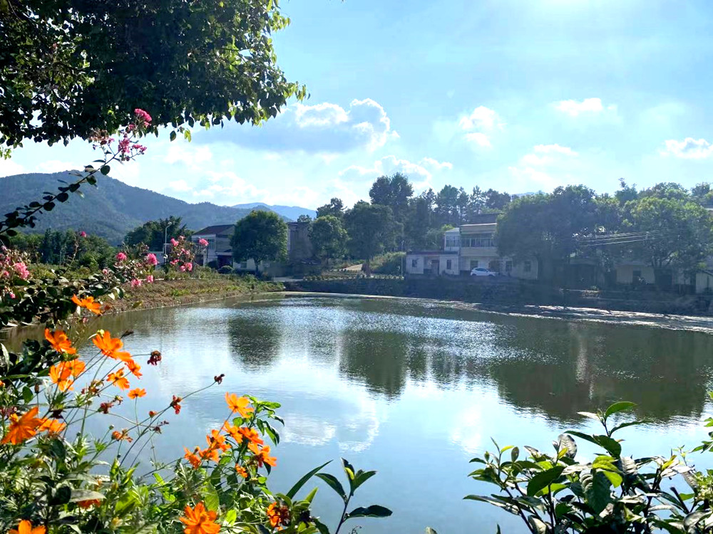 大關鎮(zhèn)高擺村民組一景.jpg