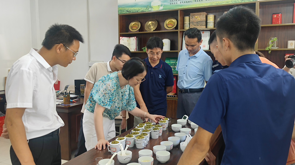 第四屆桐城小花專家評審活動成功舉辦.jpg