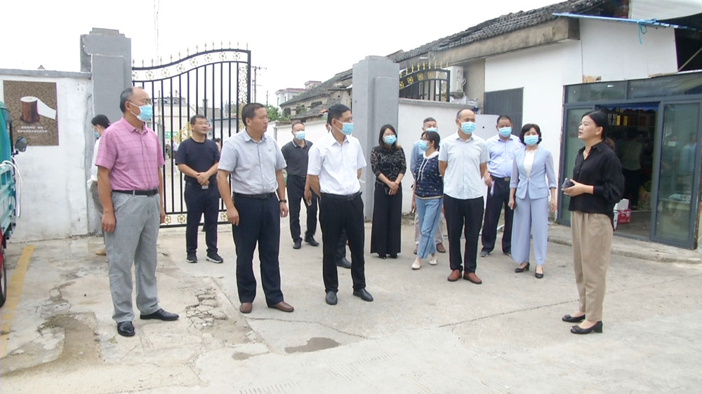 圖為潘利民一行在紅星路菜市場(chǎng)背街小巷調(diào)研.jpg