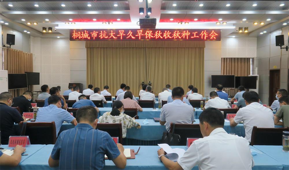 桐城市抗大旱久旱保秋收秋種工作會議.jpg