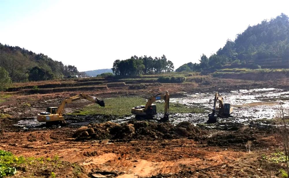 圖為卅鋪村龍江大塘清淤現(xiàn)場.jpg