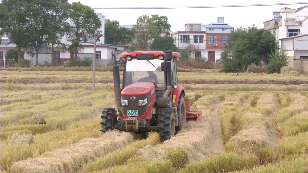 圖為秸稈打捆機(jī)正在水稻田里打捆秸稈.jpg