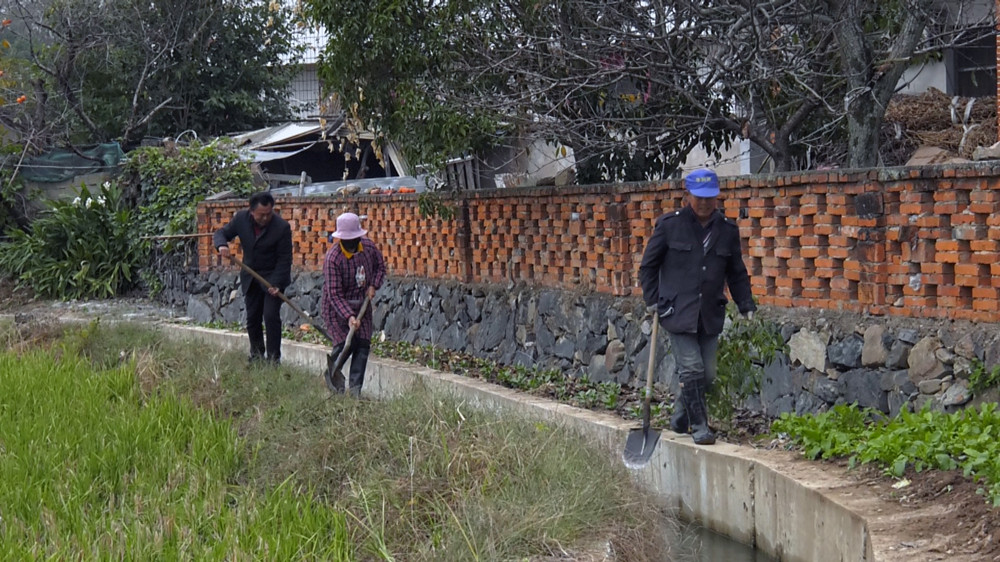 圖為村民們正在沿線溝渠清理雜物，保障水流暢通。 .jpg