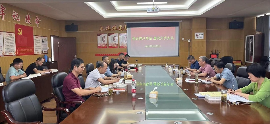 圖為桐城黨校開展移風(fēng)易俗宣傳教育.jpg