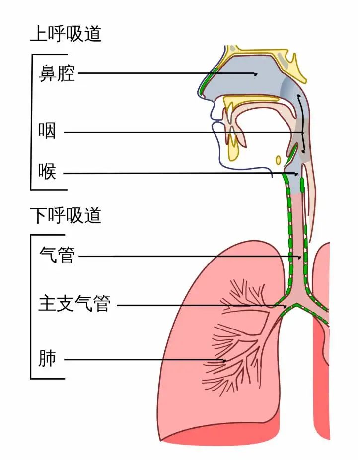 微信圖片_20221221143815.jpg