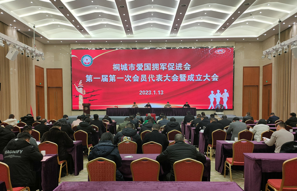 桐城市愛國擁軍促進會1.jpg