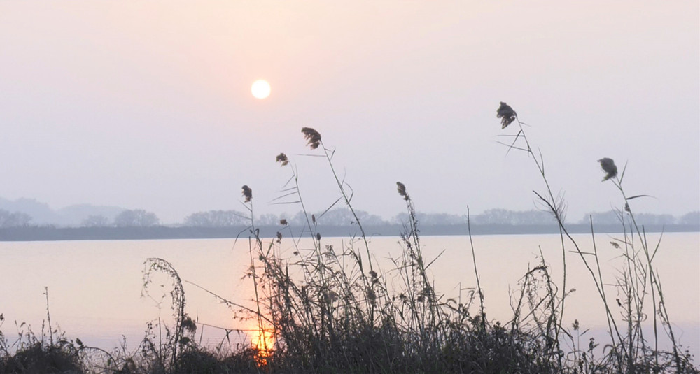 圖為嬉子湖國家濕地公園風(fēng)光.jpg