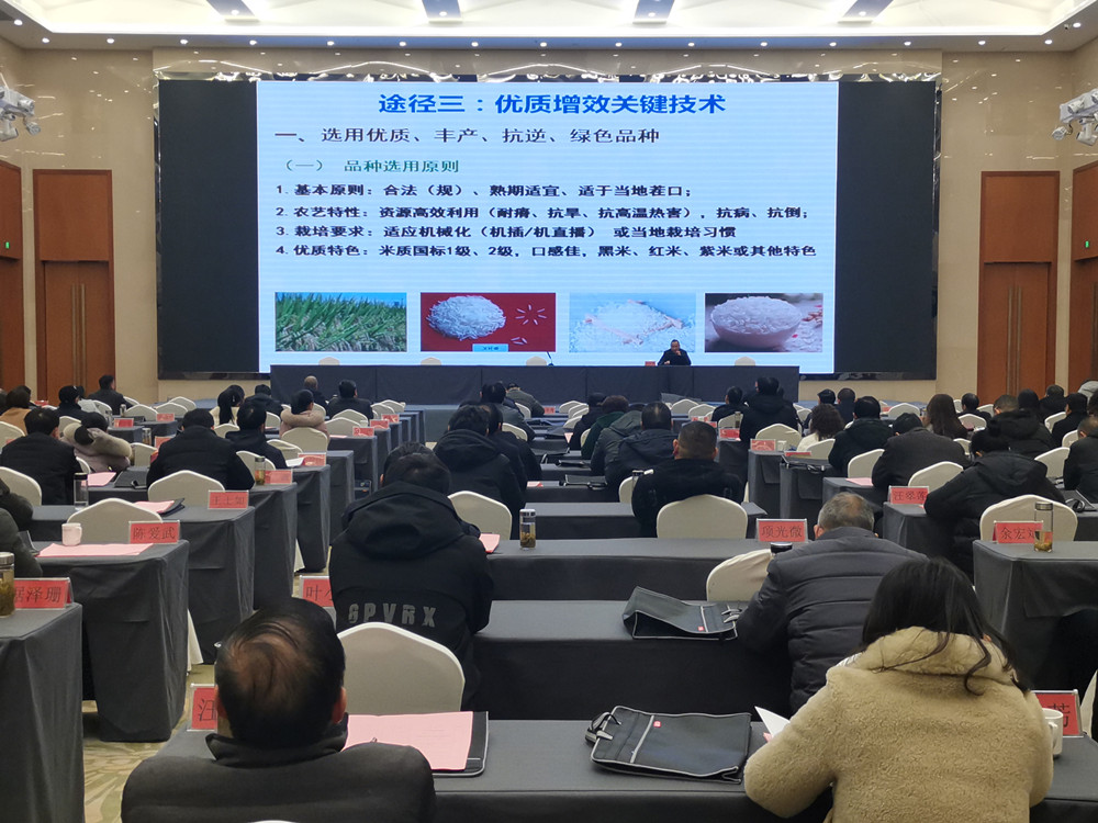 全市種植業(yè)管理系統(tǒng)2022年度總結(jié)表彰大會暨春訓會1.jpg