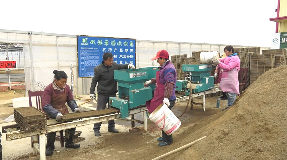 育秧機(jī)自動(dòng)育秧.jpg