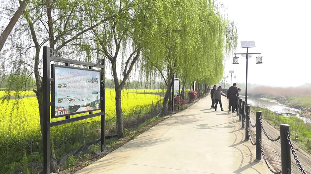 楊公村黨建長廊.jpg