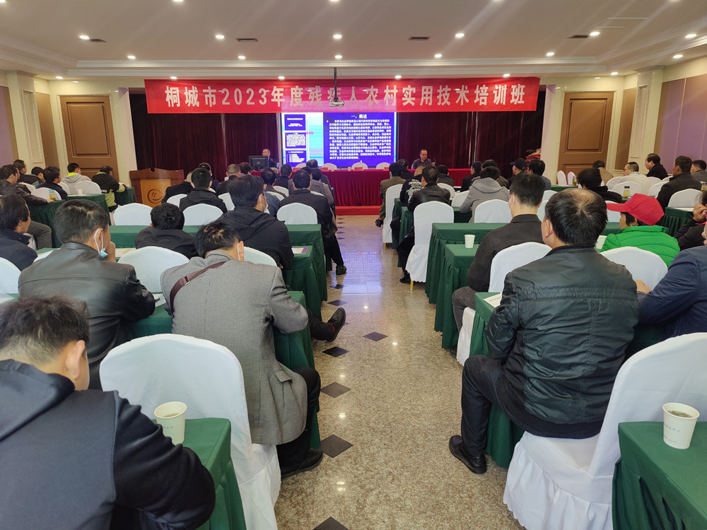 殘聯(lián)上課.jpg