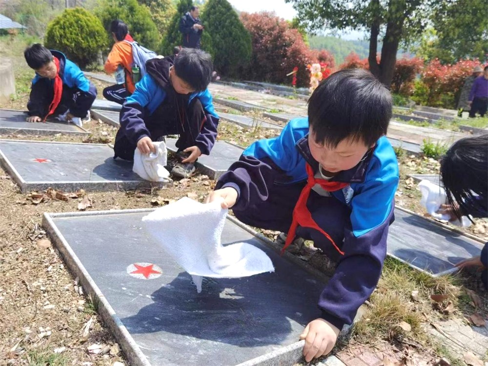 青草.jpg