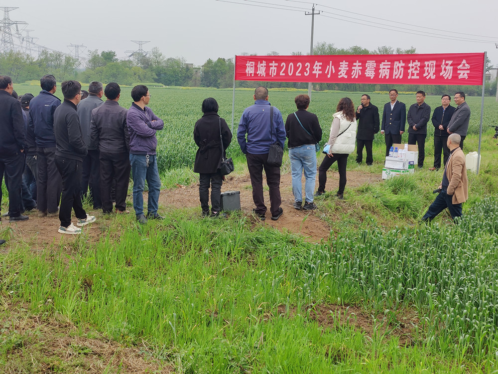 小麥防治會(huì).jpg