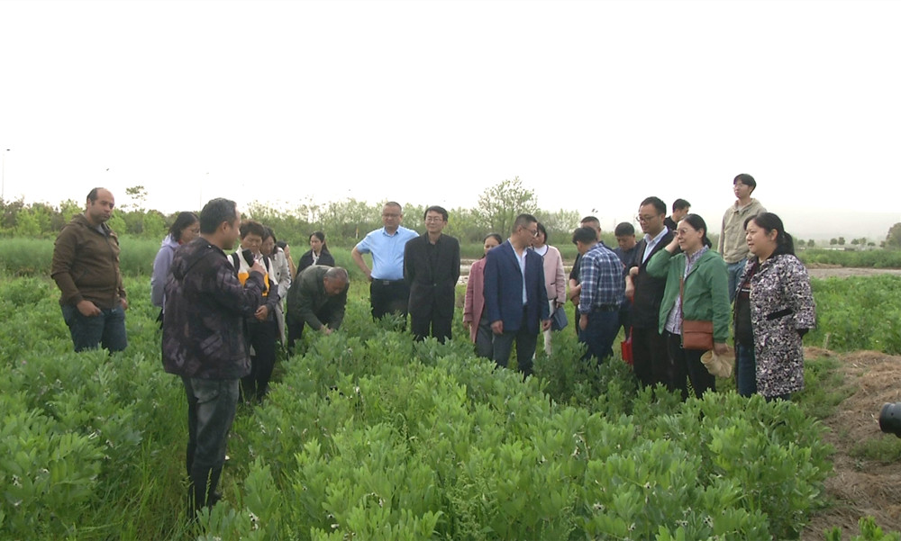 圖為專家前往基地調(diào)研.jpg