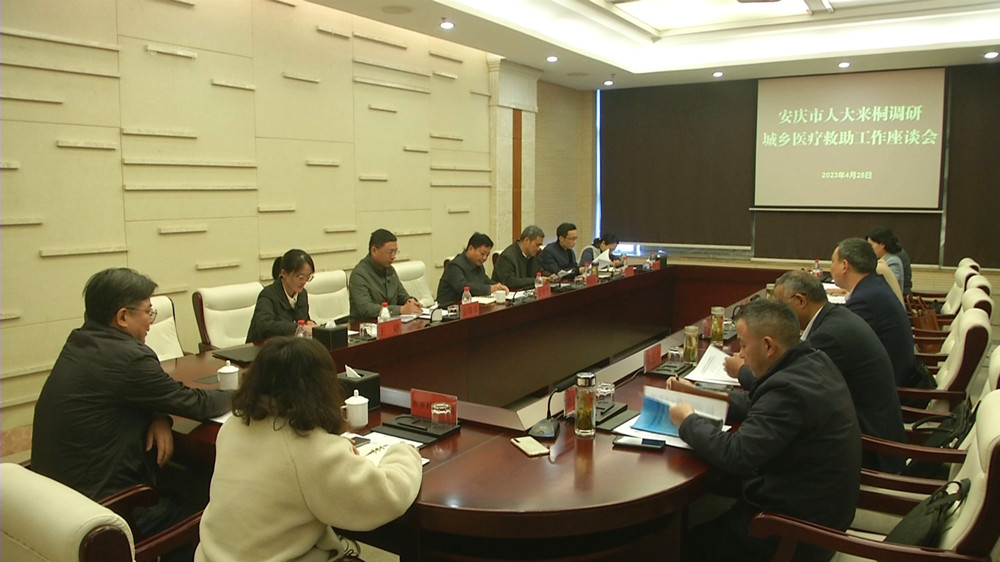 安慶市人大到桐調(diào)研醫(yī)療救助工作_副本.jpg