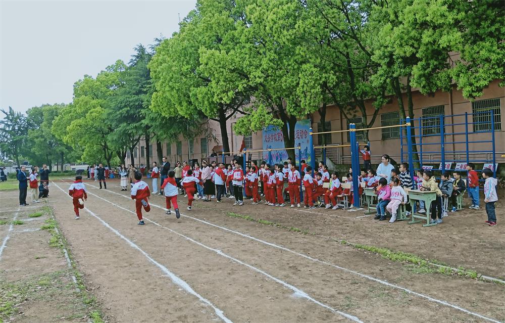 31.jpg