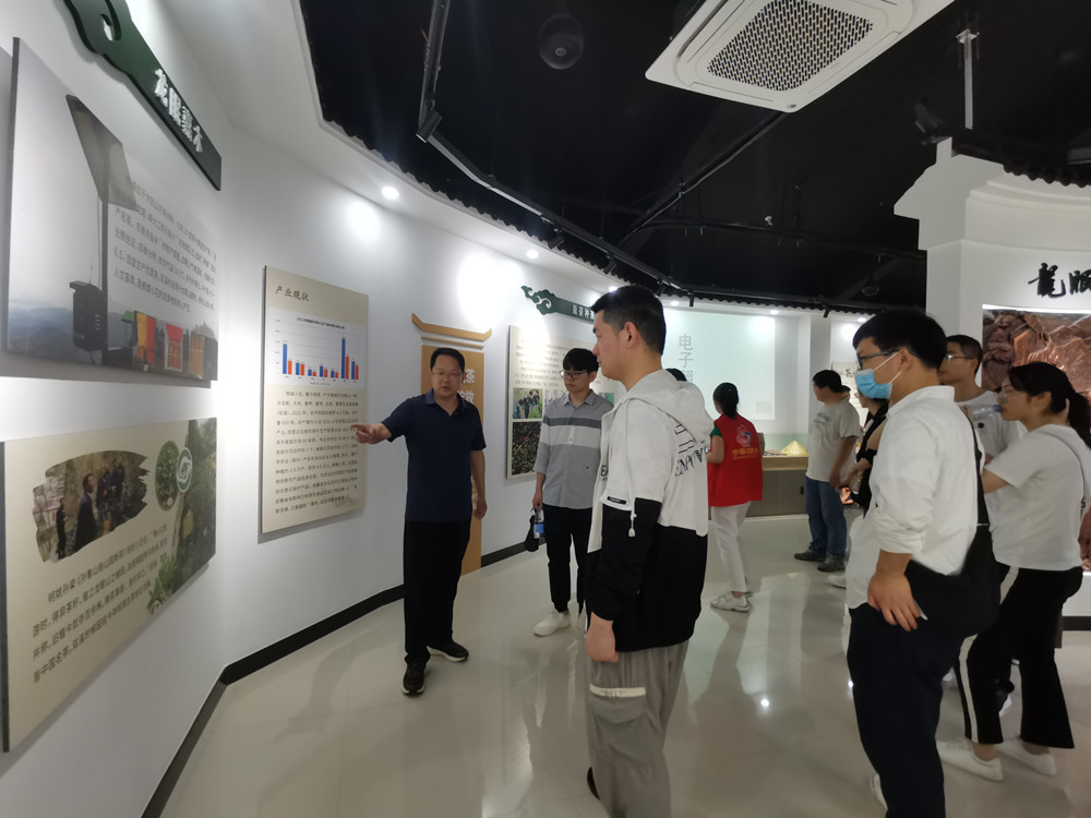 圖為在桐城小花茶文化館參觀時的情景.jpg