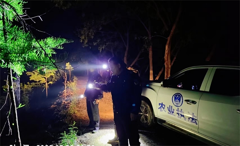 圖為桐城市農(nóng)業(yè)綜合行政執(zhí)法人員開(kāi)展夜間巡查.png