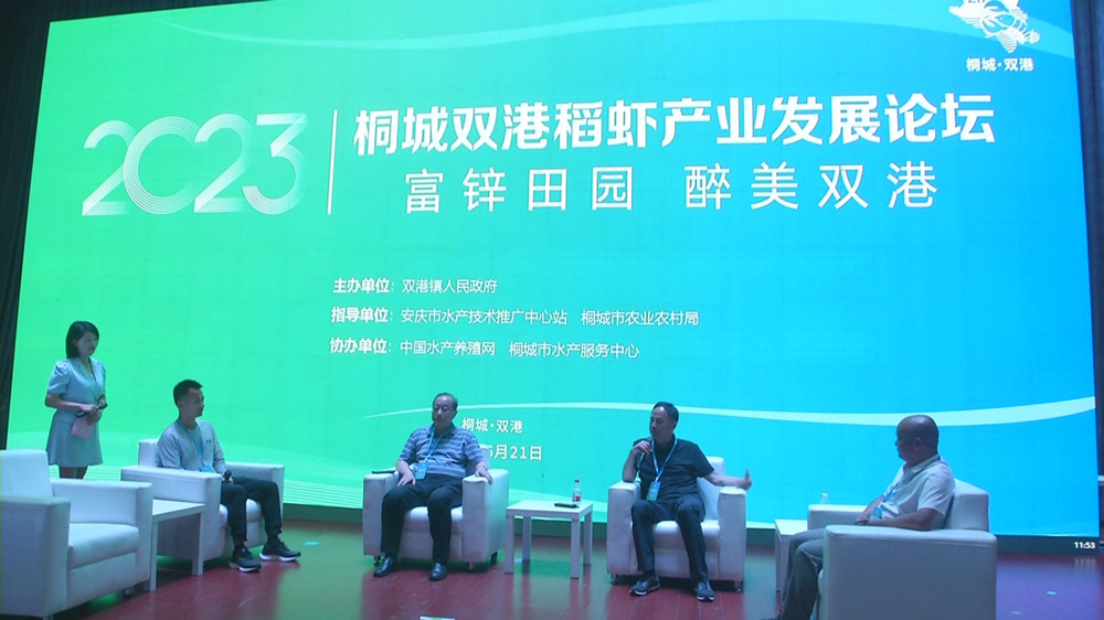 雙港第三屆龍蝦文化旅游節(jié)暨軟包裝高峰論壇沙龍互動(dòng)環(huán)節(jié)2.jpg