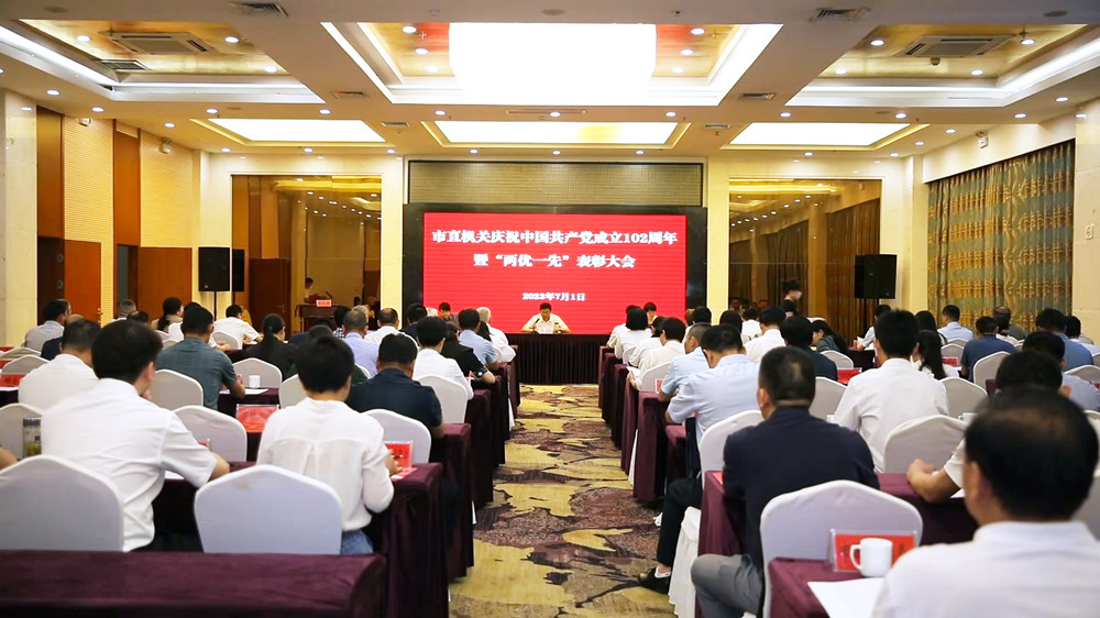 桐城：開展兩優(yōu)一先”表彰活動 砥礪奮勇前行力量.jpg