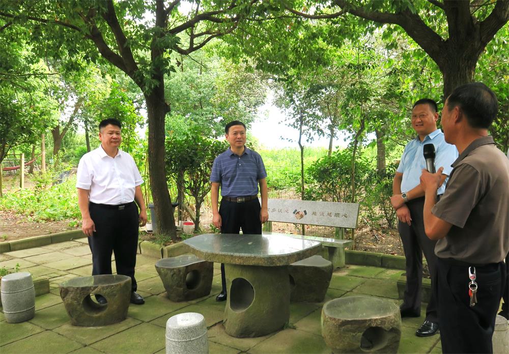 4滁州市明光市蘇巷鎮(zhèn)戴巷村陸郢組.jpg