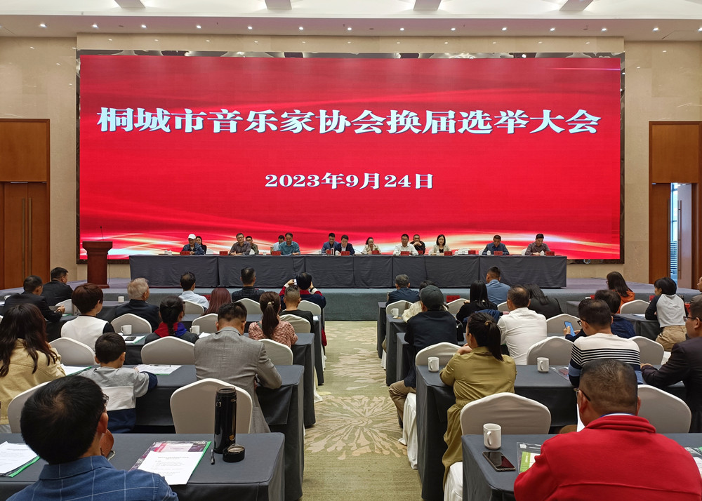 桐城市音樂(lè)家協(xié)會(huì)換屆選舉大會(huì).jpg