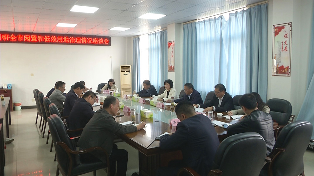 圖為閑置低效土地調(diào)研座談會.jpg