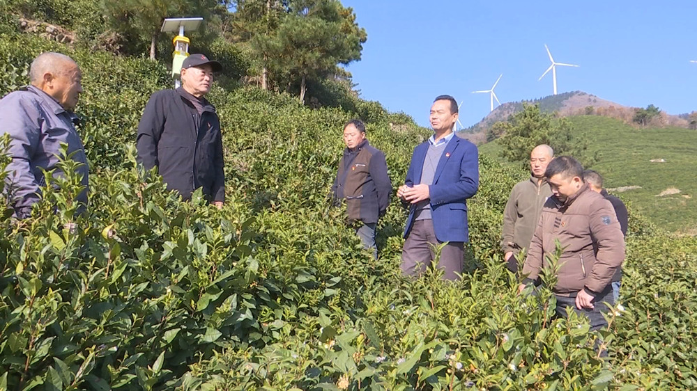 王中平.jpg