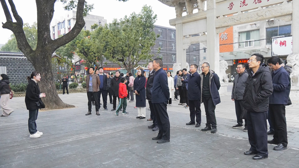 圖為采風(fēng)團一行在桐城六尺巷.jpg