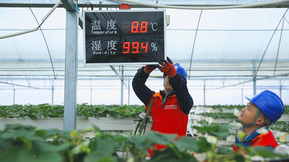 圖為國網(wǎng)桐城市供電公司黨員服務(wù)隊正在對某大棚溫控設(shè)備進(jìn)行用電維護(hù).jpg