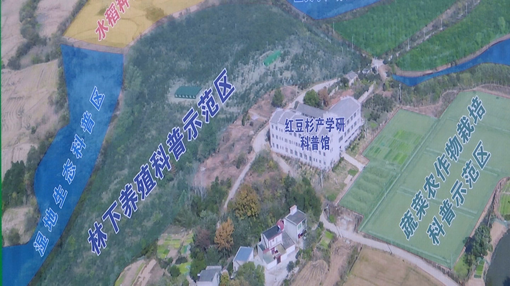 紅豆(4)_副本.jpg
