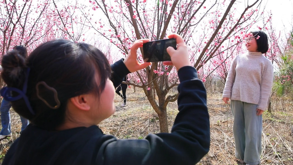 安徽桐城：梅花盛開俏枝頭 芬芳美景醉游人[00_04_19][20240308-152747].jpg