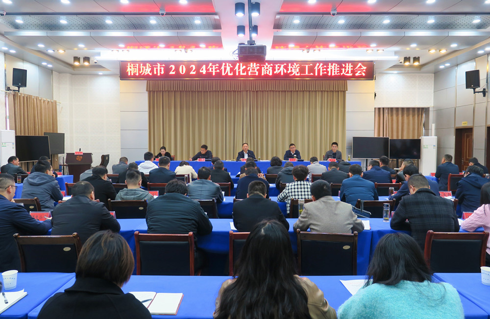 桐城市2024年優(yōu)化營商環(huán)境工作推進(jìn)會0.jpg