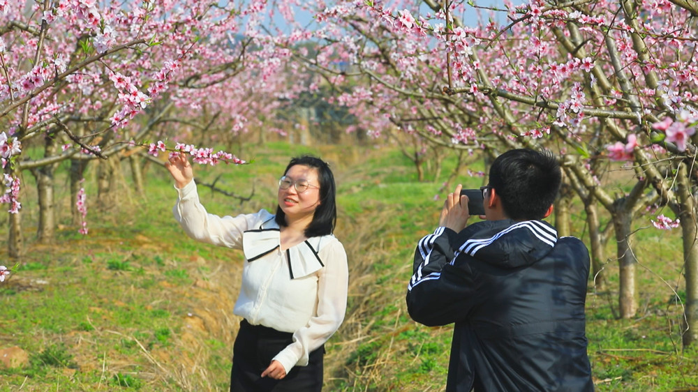 圖為游人在桃園中賞花拍照 踏春游玩1.jpg